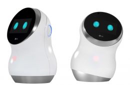 LG Hub Robot