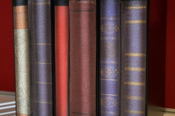 James Loudspeaker Hydro Dipping