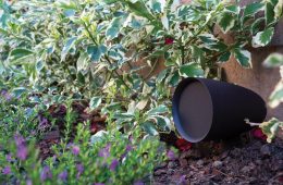 Sonance Patio Series