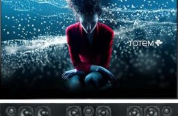 Totem
